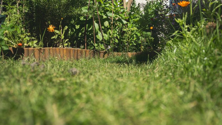 Aménager un massif de jardin : la méthode pas à pas pour structurer vos espaces extérieurs
