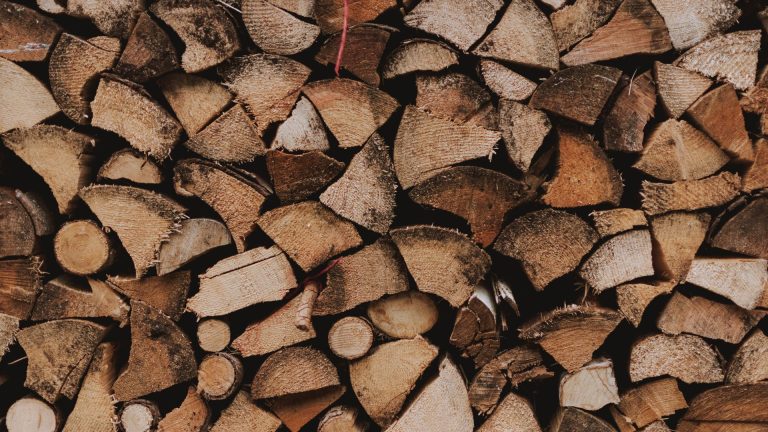 Quel bois choisir pour son poêle : essences, humidité et rendement